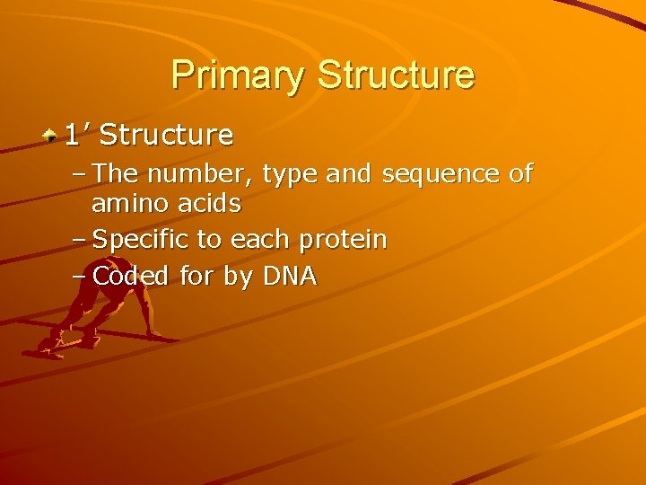 Primary Structure 1’ Structure – The number, type and sequence of amino acids –