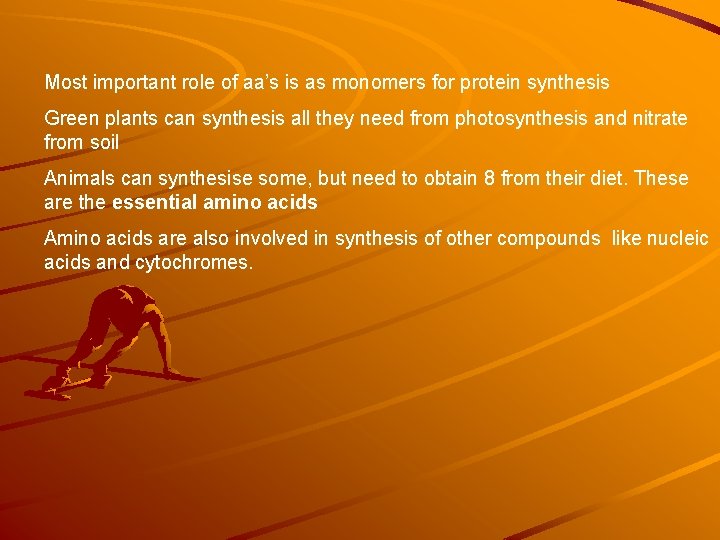 Most important role of aa’s is as monomers for protein synthesis Green plants can