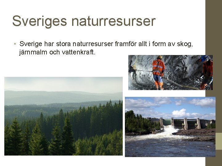 Sveriges naturresurser • Sverige har stora naturresurser framför allt i form av skog, järnmalm