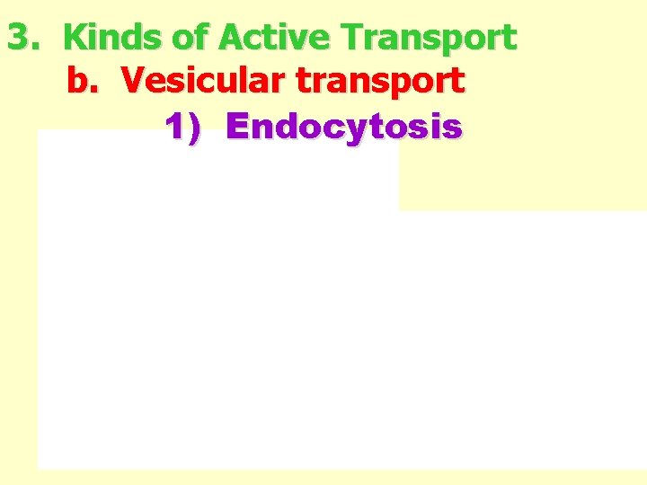 3. Kinds of Active Transport b. Vesicular transport 1) Endocytosis 
