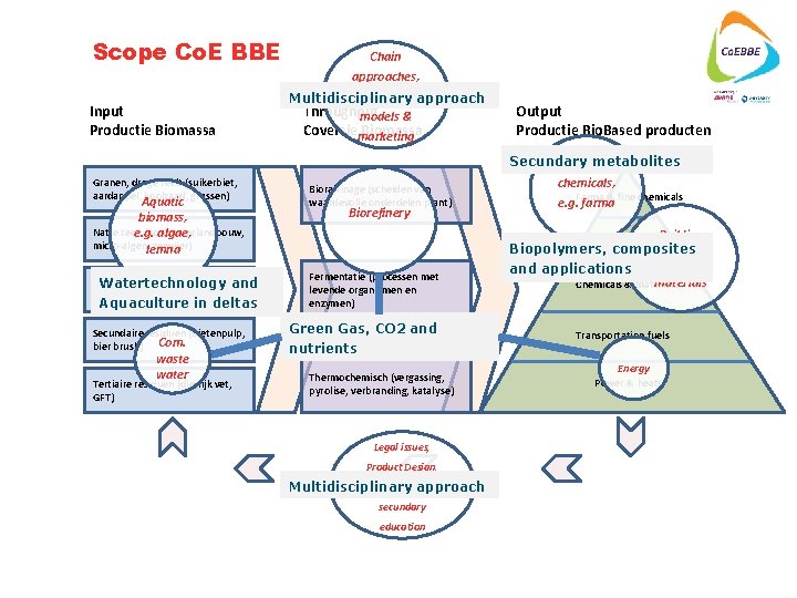 Scope Co. E BBE Chain approaches, Input Productie Biomassa Business approach Multidisciplinary Throughput models