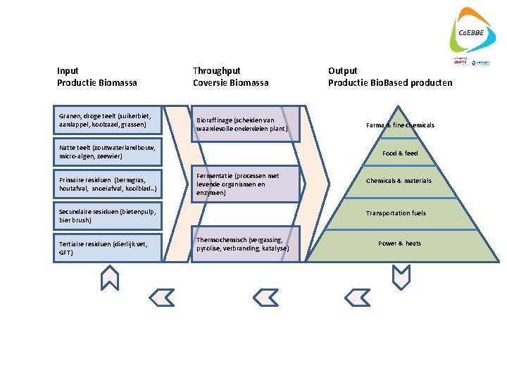 Input Productie Biomassa Granen, droge teelt (suikerbiet, aardappel, koolzaad, grassen) Throughput Coversie Biomassa Bioraffinage