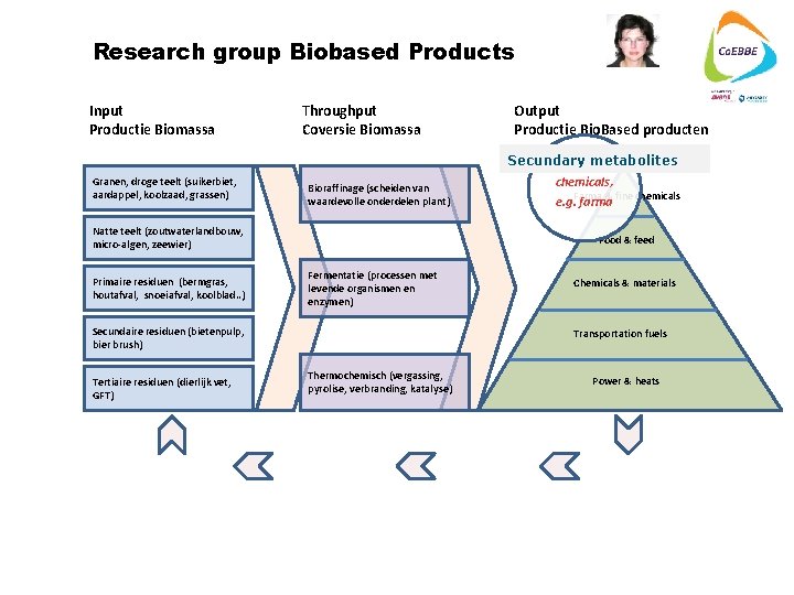 Research group Biobased Products Input Productie Biomassa Throughput Coversie Biomassa Output Productie Bio. Based