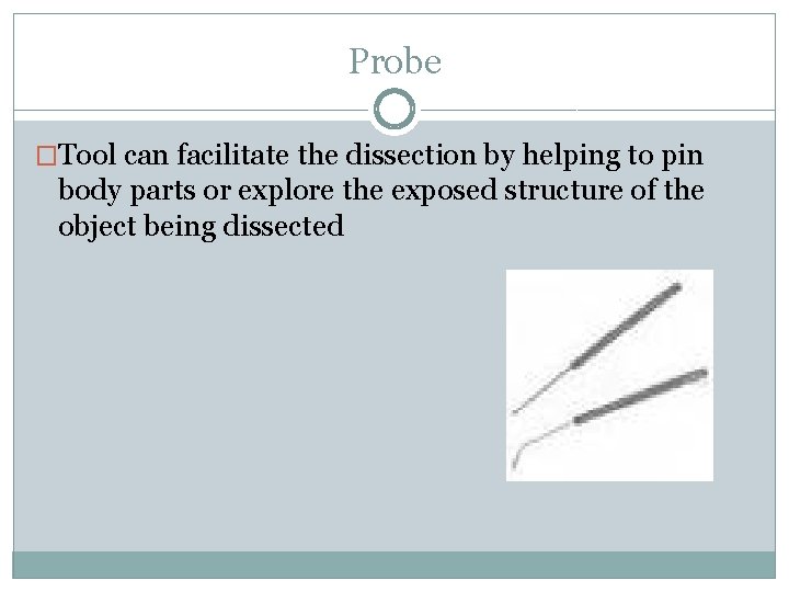 Probe �Tool can facilitate the dissection by helping to pin body parts or explore