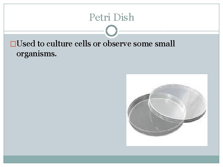 Petri Dish �Used to culture cells or observe some small organisms. 