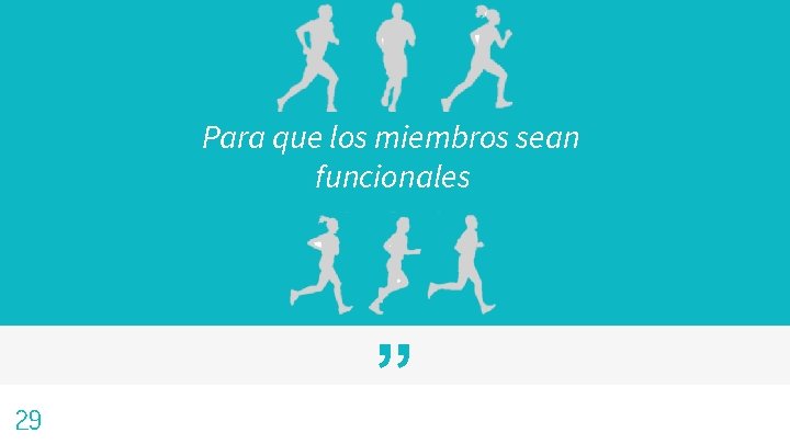 Para que los miembros sean funcionales 29 ” 