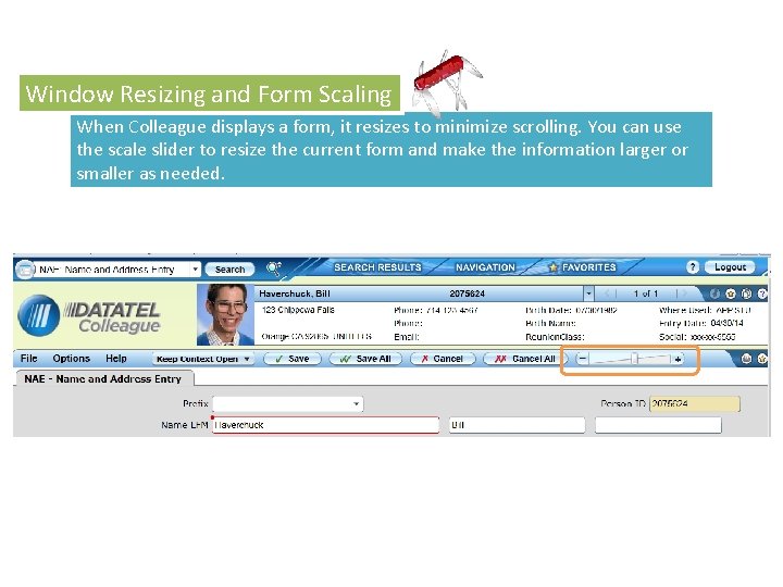 Window Resizing and Form Scaling o To l. T ip When Colleague displays a