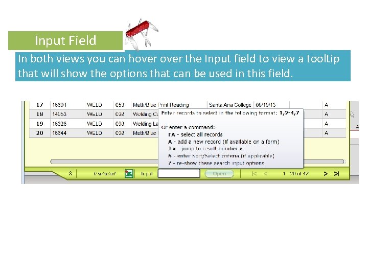 Input Field T l oo Tip In both views you can hover the Input