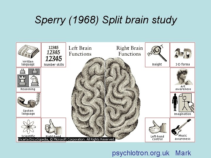 Sperry (1968) Split brain study psychlotron. org. uk Mark 