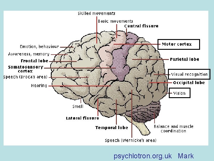 psychlotron. org. uk Mark 