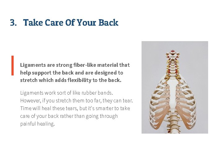 3. Take Care Of Your Back Ligaments are strong fiber-like material that help support