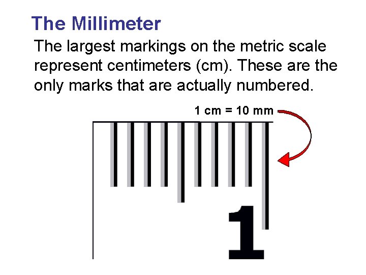 The Millimeter The largest markings on the metric scale represent centimeters (cm). These are