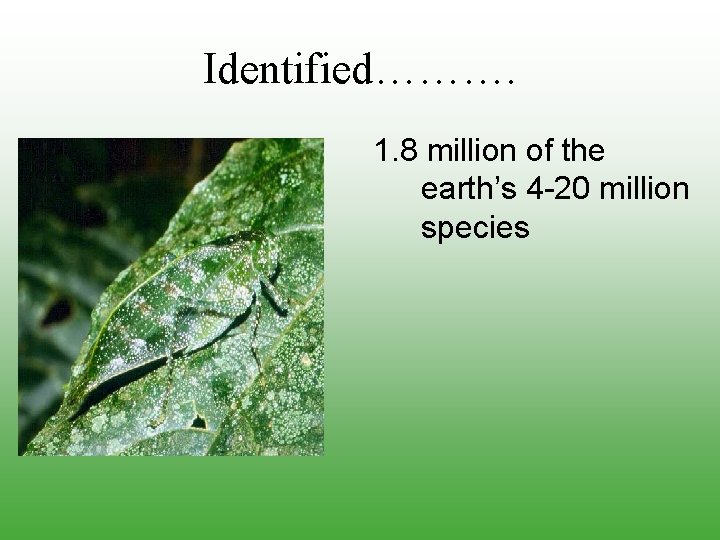 Identified………. 1. 8 million of the earth’s 4 -20 million species 