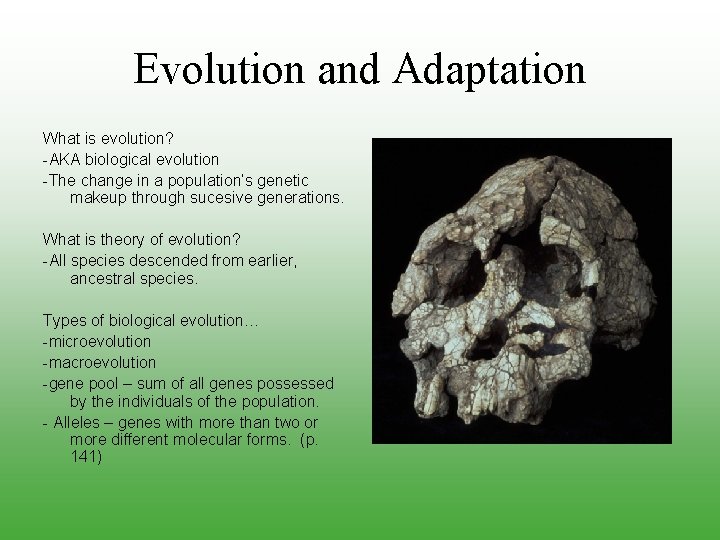 Evolution and Adaptation What is evolution? -AKA biological evolution -The change in a population’s