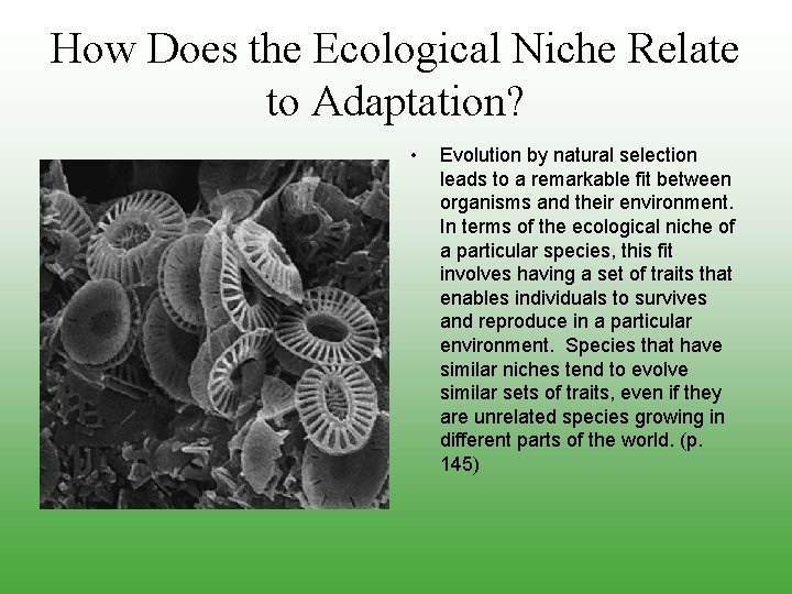 How Does the Ecological Niche Relate to Adaptation? • Evolution by natural selection leads