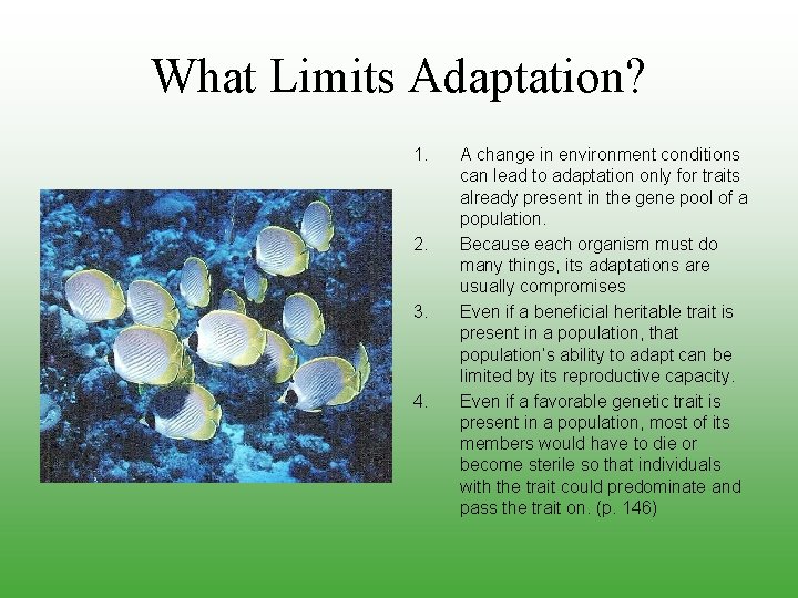 What Limits Adaptation? 1. 2. 3. 4. A change in environment conditions can lead