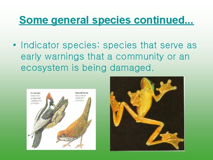 Some general species continued. . . • Indicator species: species that serve as early