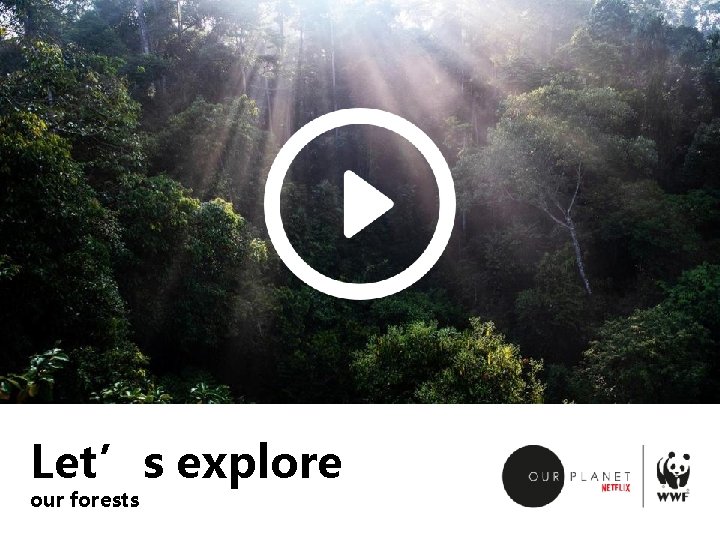 Let’s explore our forests 