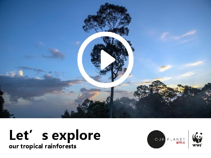 Let’s explore our tropical rainforests 