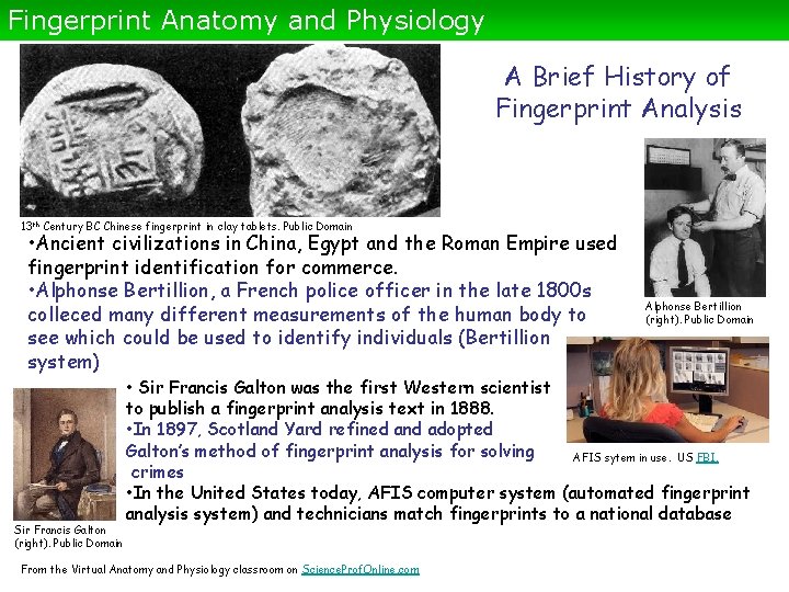 Fingerprint Anatomy and Physiology A Brief History of Fingerprint Analysis 13 th Century BC