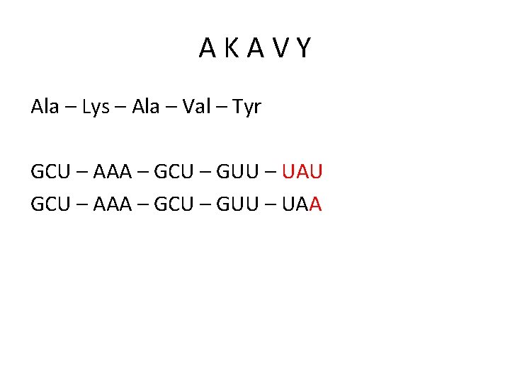 AKAVY Ala – Lys – Ala – Val – Tyr GCU – AAA –