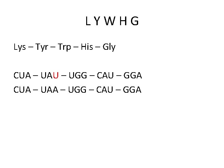 LYWHG Lys – Tyr – Trp – His – Gly CUA – UAU –