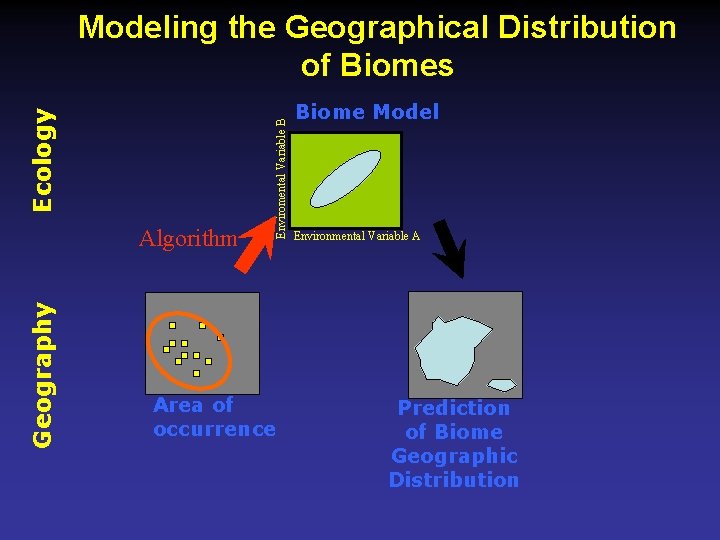 Geography Algorithm Enviromental Variable B Ecology Modeling the Geographical Distribution of Biomes Area of