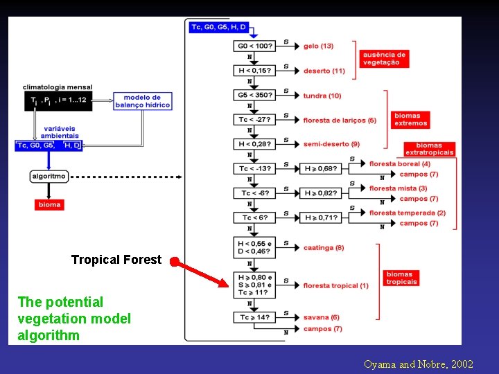 Tropical Forest The potential vegetation model algorithm Oyama and Nobre, 2002 