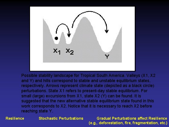 Possible stability landscape for Tropical South America. Valleys (X 1, X 2 and Y)