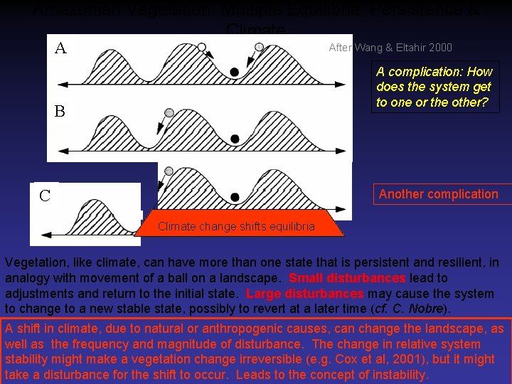 Amazonian Vegetation: Multiple Equilibria, Persistence & Climate After Wang & Eltahir 2000 A A