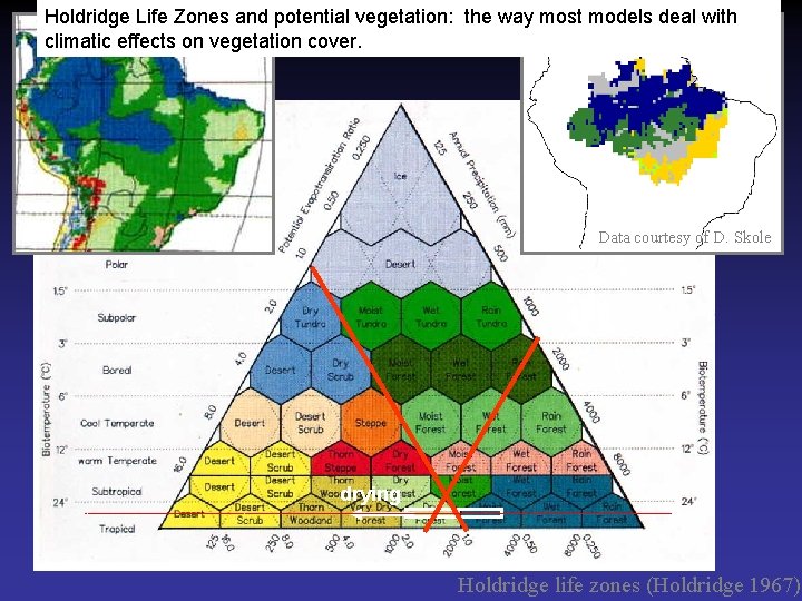 Holdridge Life Zones and potential vegetation: the way most models deal with climatic effects