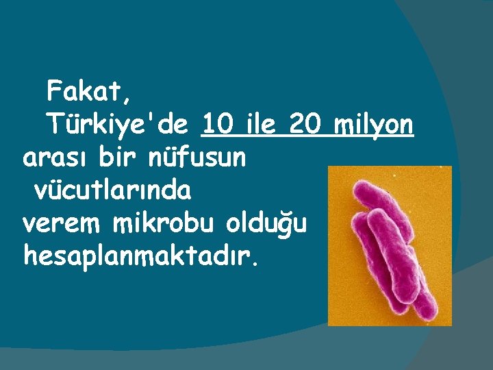 Fakat, Türkiye'de 10 ile 20 milyon arası bir nüfusun vücutlarında verem mikrobu olduğu hesaplanmaktadır.