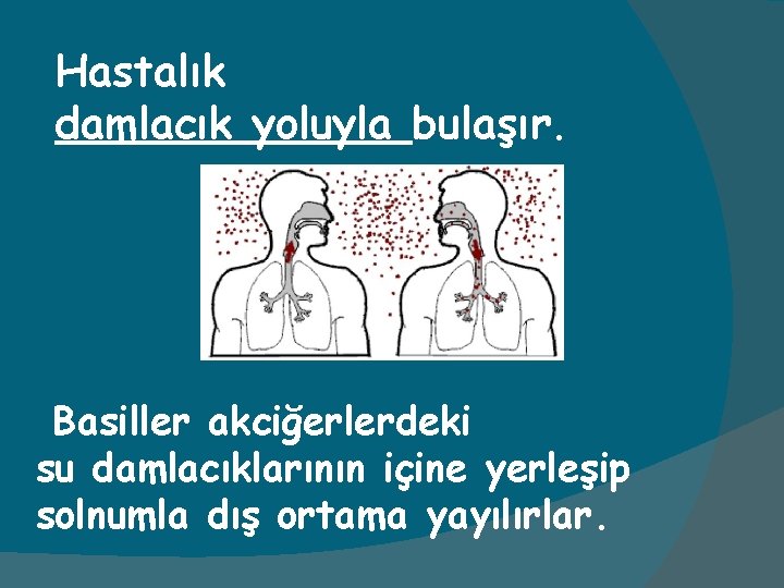 Hastalık damlacık yoluyla bulaşır. Basiller akciğerlerdeki su damlacıklarının içine yerleşip solnumla dış ortama yayılırlar.