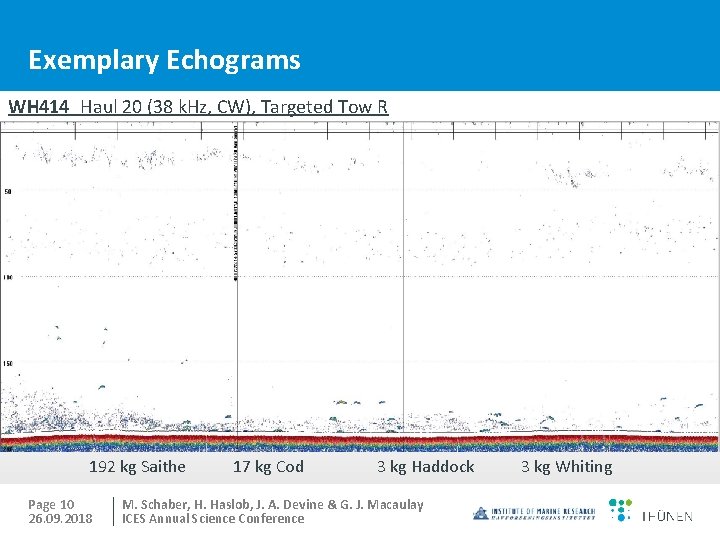 Exemplary Echograms WH 414 Haul 20 (38 k. Hz, CW), Targeted Tow R 192