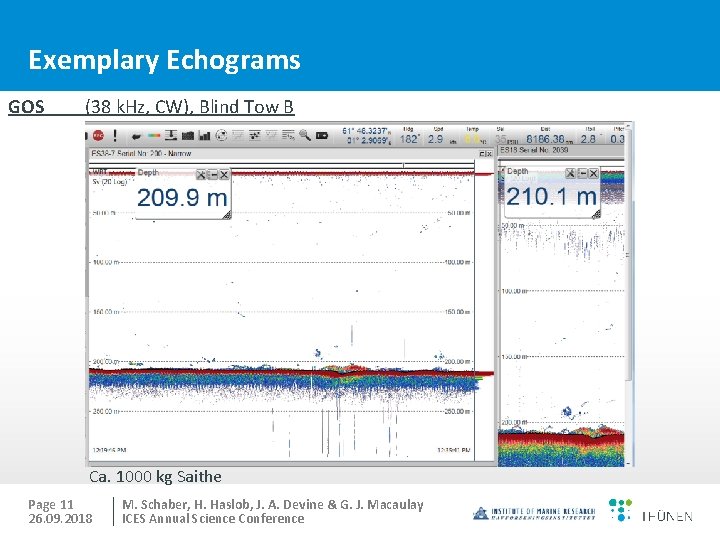 Exemplary Echograms GOS (38 k. Hz, CW), Blind Tow B Ca. 1000 kg Saithe