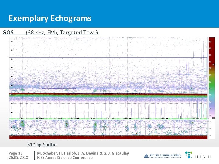 Exemplary Echograms GOS (38 k. Hz, FM), Targeted Tow R 510 kg Saithe Page