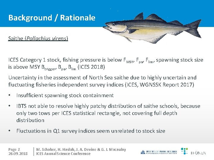 Background / Rationale Saithe (Pollachius virens) ICES Category 1 stock, fishing pressure is below