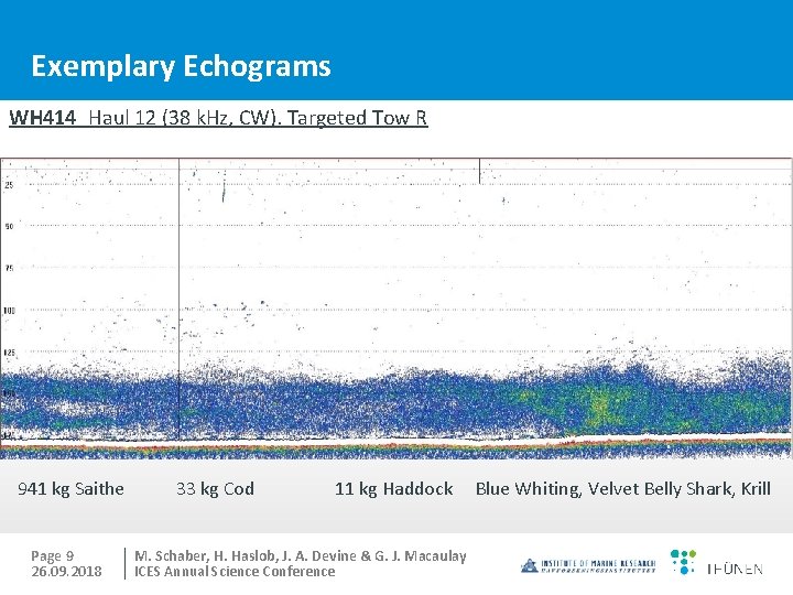 Exemplary Echograms WH 414 Haul 12 (38 k. Hz, CW). Targeted Tow R 941