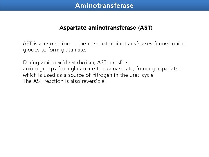 Aminotransferase Aspartate aminotransferase (AST) AST is an exception to the rule that aminotransferases funnel