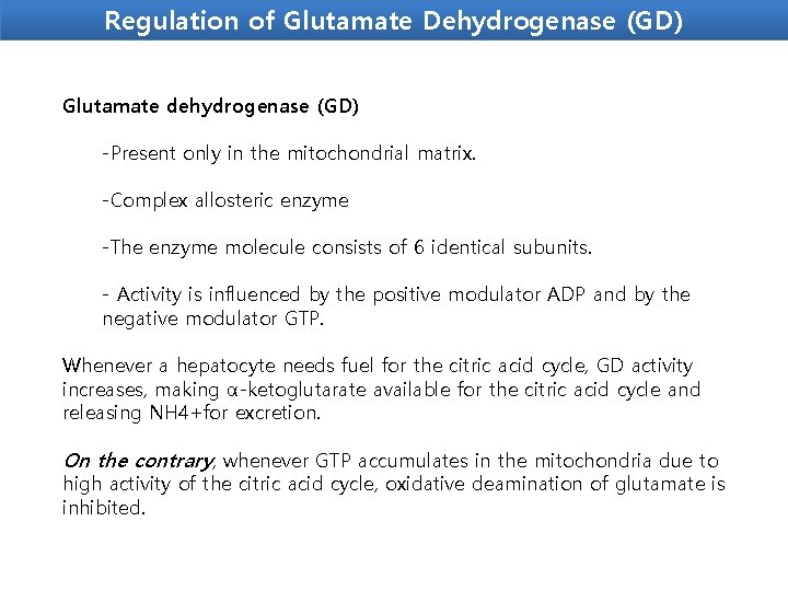 Regulation of Glutamate Dehydrogenase (GD) Glutamate dehydrogenase (GD) -Present only in the mitochondrial matrix.