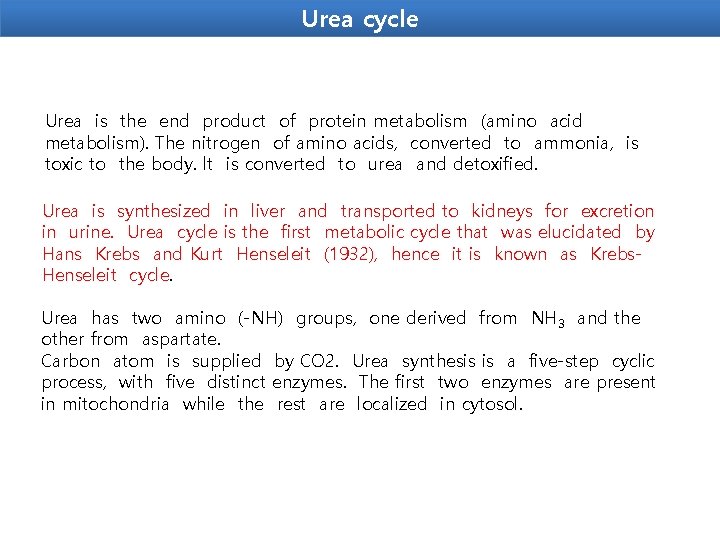Urea cycle Urea is the end product of protein metabolism (amino acid metabolism). The