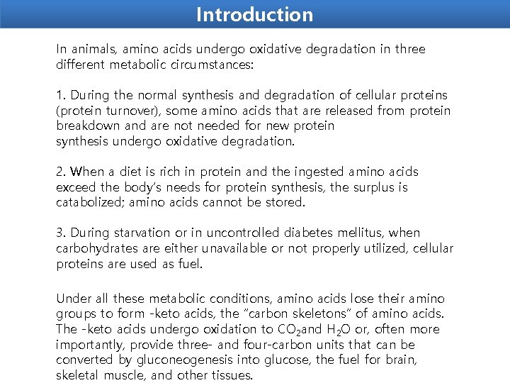Introduction In animals, amino acids undergo oxidative degradation in three different metabolic circumstances: 1.