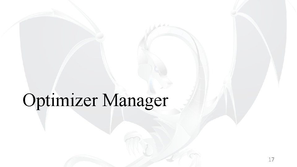 Optimizer Manager 17 