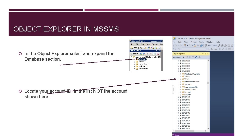 OBJECT EXPLORER IN MSSMS In the Object Explorer select and expand the Database section.