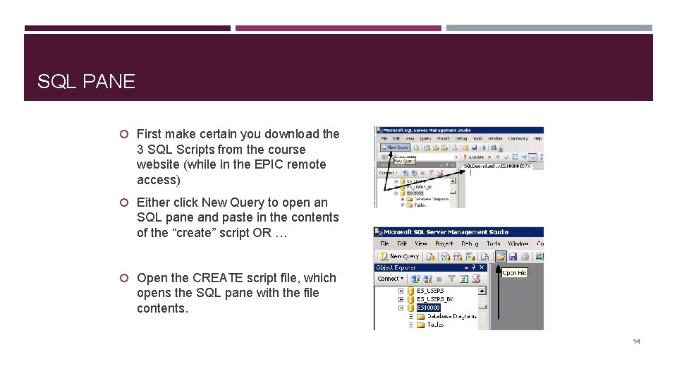 SQL PANE First make certain you download the 3 SQL Scripts from the course