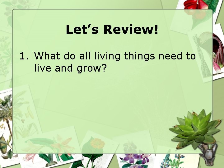 Let’s Review! 1. What do all living things need to live and grow? 