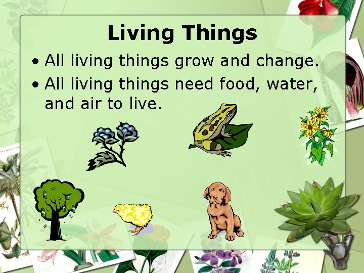 Living Things • All living things grow and change. • All living things need