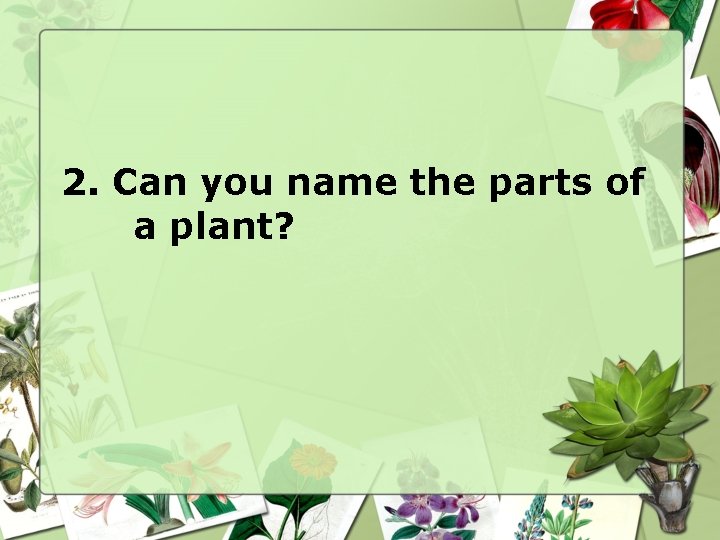 2. Can you name the parts of a plant? 