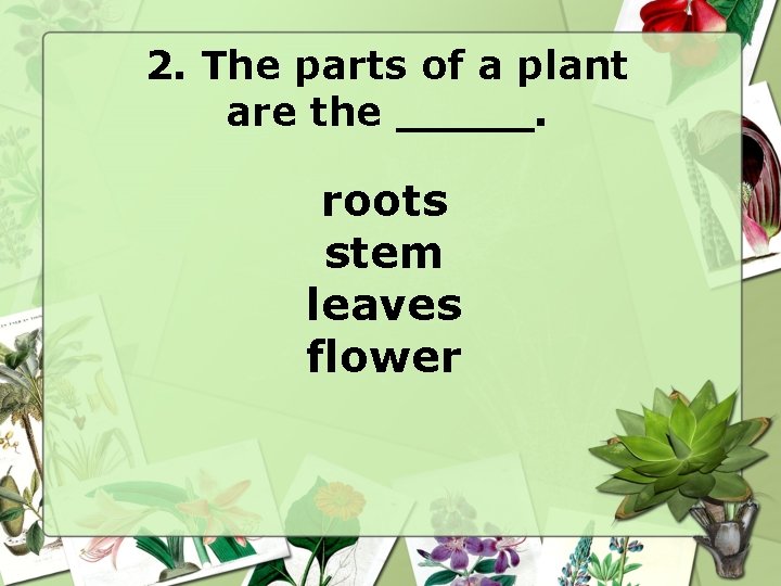 2. The parts of a plant are the _____. roots stem leaves flower 