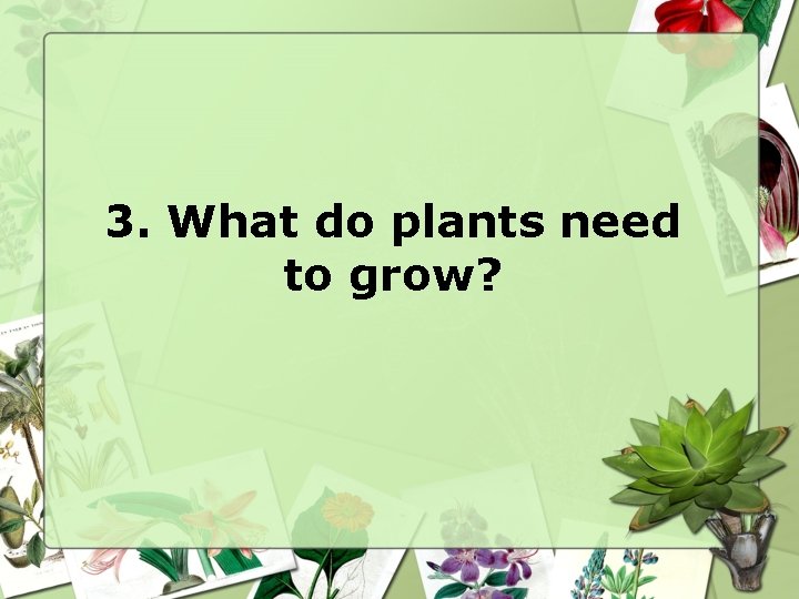 3. What do plants need to grow? 